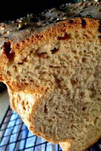 Gluten-Free Beer Bread GF beer bread